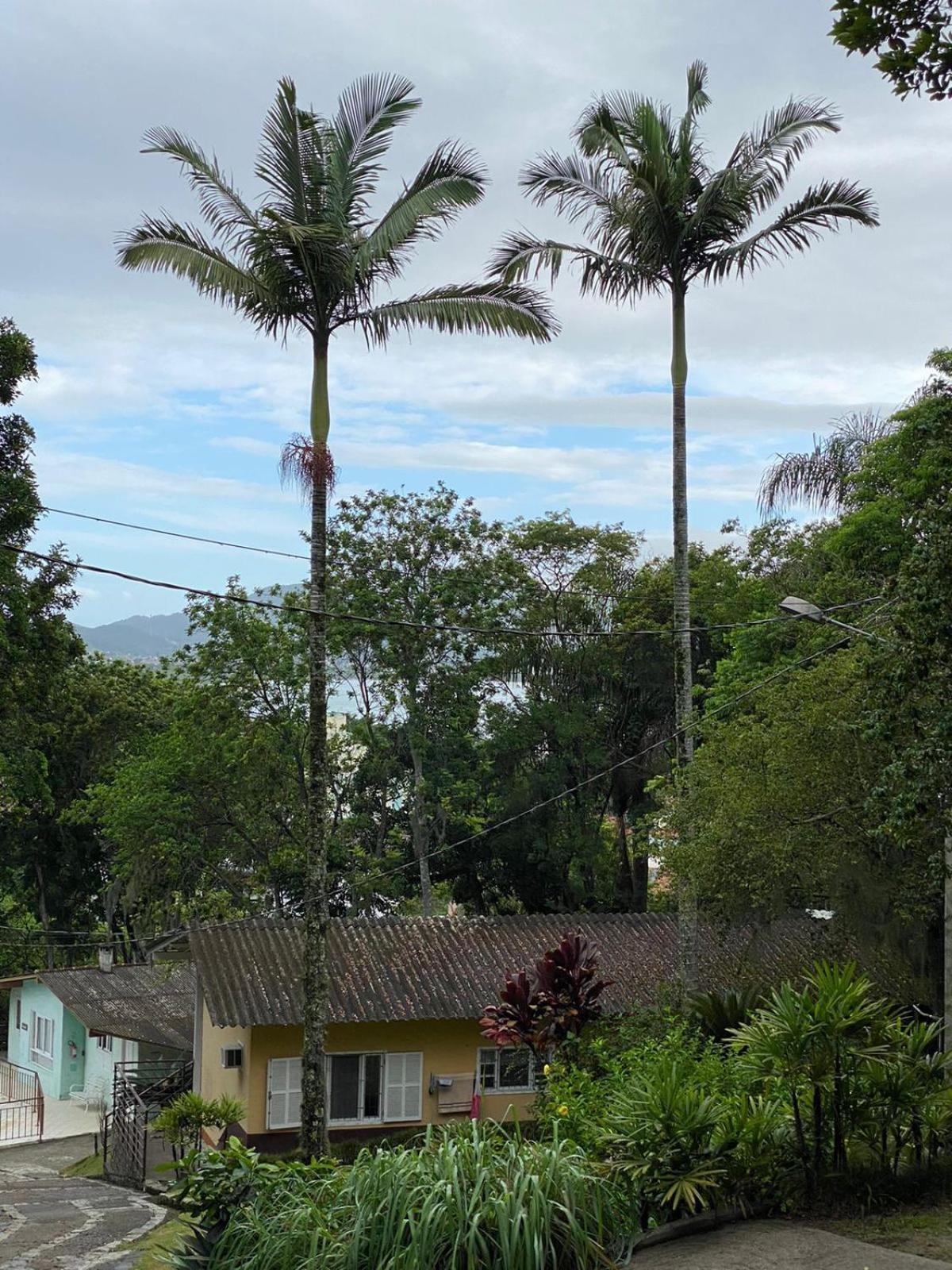 Отель Recanto Floripa Флорианополис Экстерьер фото